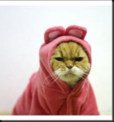 stoner cat