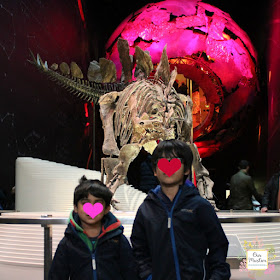 Homeschool trip natural history museum london