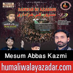 http://www.humaliwalayazadar.com/2014/10/mesum-abbas-kazmi-nohay-2013-to-2015.html