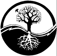 yy-tree[1]