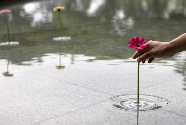 Floating Vases