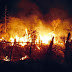VÁRZEA DA ROÇA / Incêndio destrói sisal no municipio de Várzea da Roça
