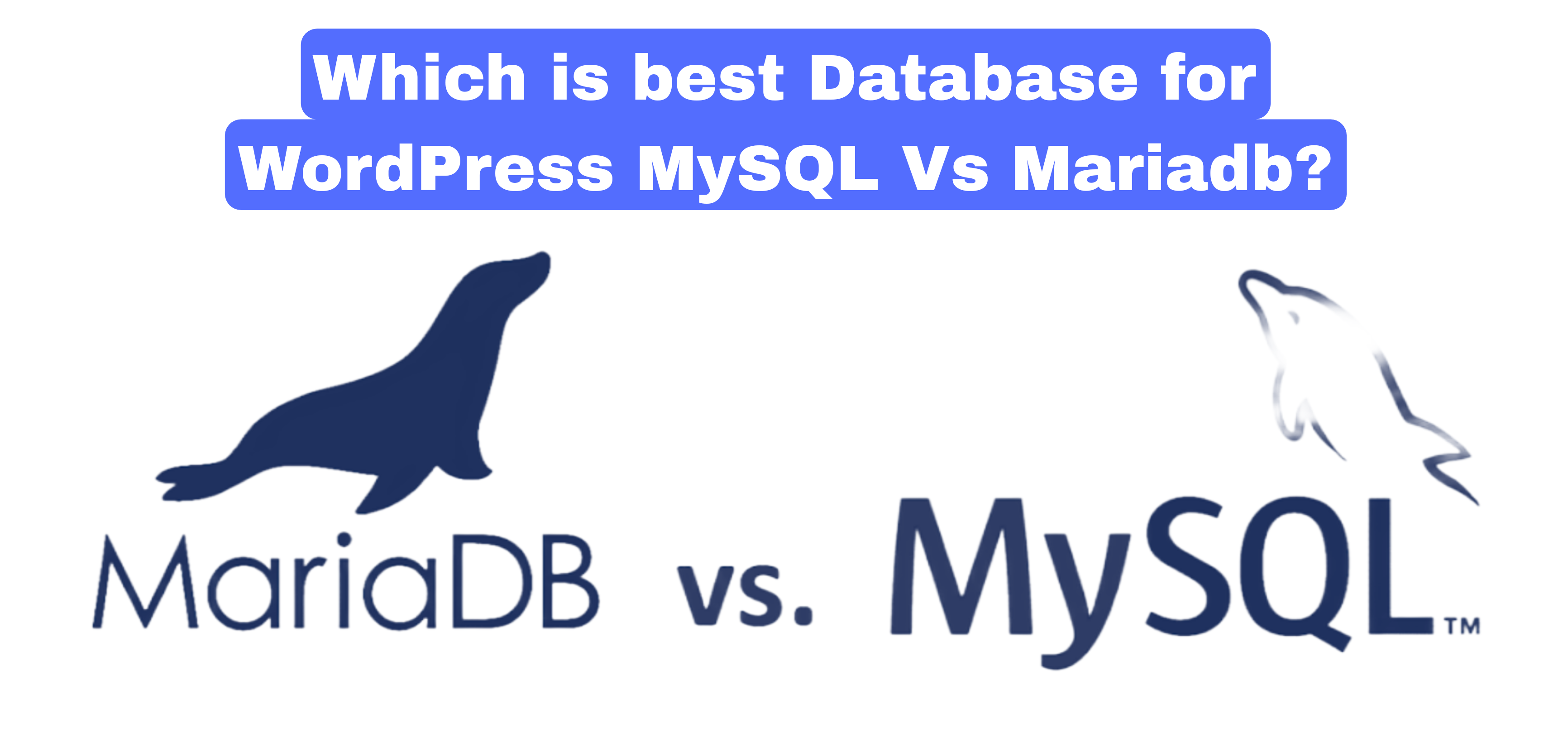 Which is best Database for WordPress MySQL Vs Mariadb?