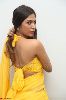 Nishigandha in Yellow backless Strapless Choli and Half Saree Spicy Pics 046.JPG