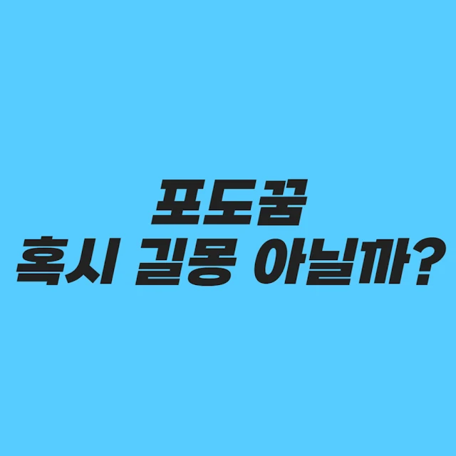 포도꿈, 혹시 길몽 아닐까?