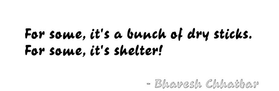 For some, it's a bunch of dry sticks. For some, it's shelter! - Bhavesh Chhatbar