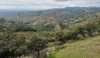 Sierra de Cazorla, provincia de Jaén.