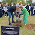 Oktoberfest Blumenau faz o primeiro plantio de árvore de projeto de sustentabilidade