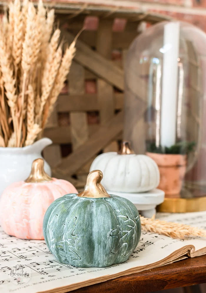 close up of white waxed green pumpkin and gold stem