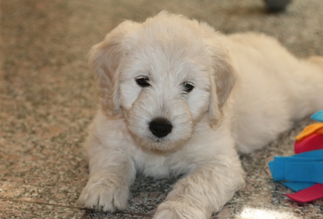 Image00001