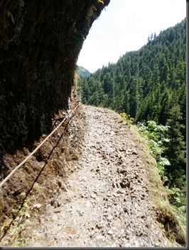 P6290020