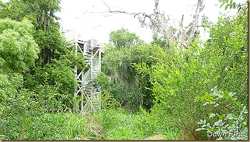 santa ana and benston_017