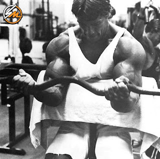 Arnold Schwarzenegger's Bicep Workout