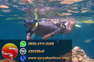 harga paket tour karimunjawa 2017 murah untuk 2 orang atau backpacker