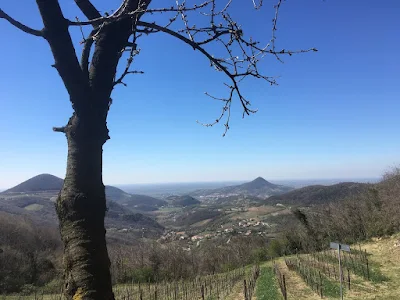 Colli Euganei - Passo Roverello