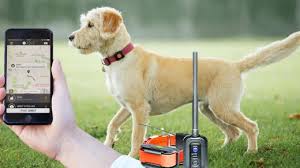 best dog gps tracker