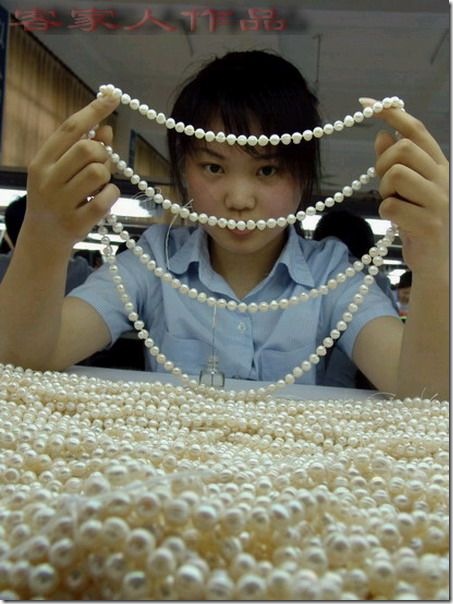 pearl_harvesting10