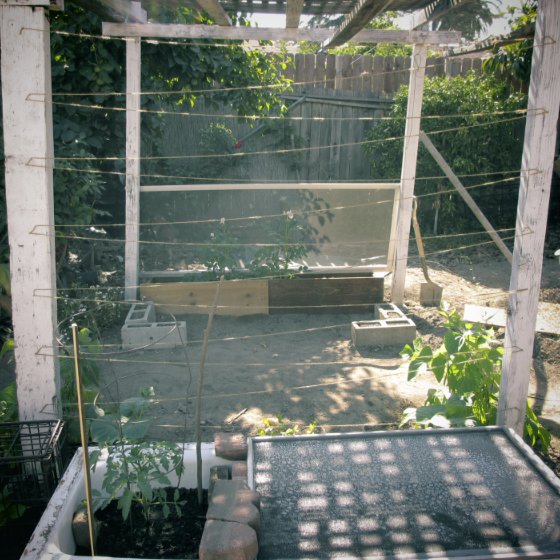 The Ambitious Seed: DIY: String Trellis