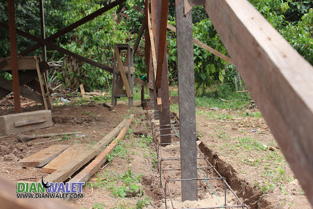 Rumah Sarang Burung Walet Dari Rangka Ulin