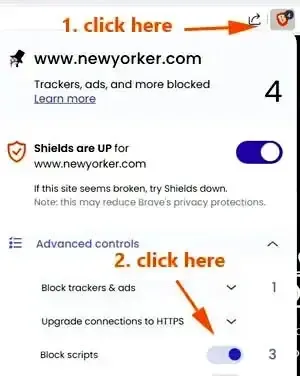 Disable JavaScript Brave Browser