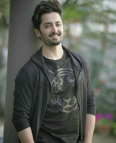 Danish Taimoor Showbiz Career