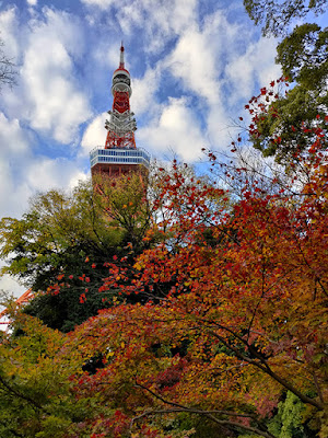 東京タワー 紅葉