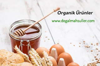 organik bal, yumurta