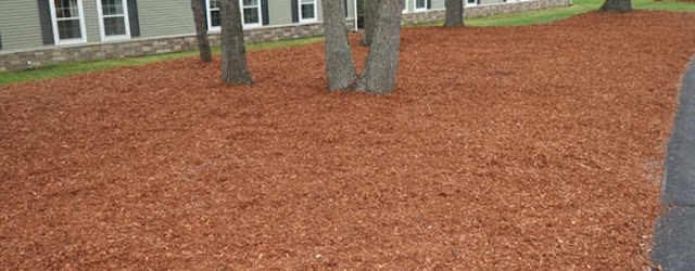 3 Fallacies About Cedar Mulch, Debunked