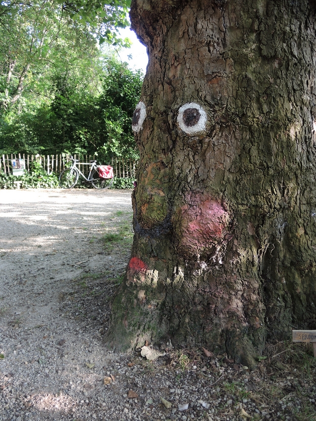 Antwerpen:  babbelende bomen in Boekenbergpark