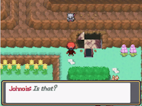 Pokemon Convert Screenshot 02