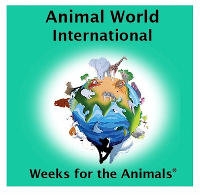 animal world international