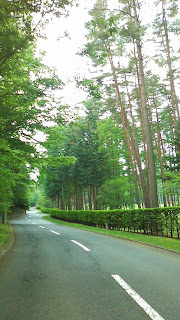 鳴沢GCに沿った道