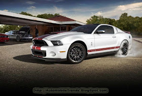 Ford Mustang Burnout