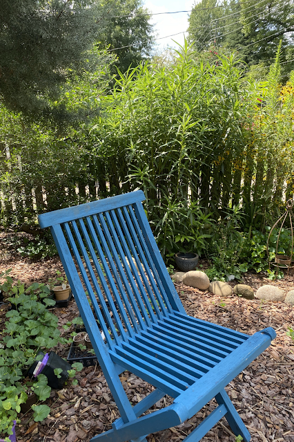 blue chair in garden