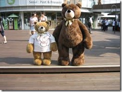 teddy2