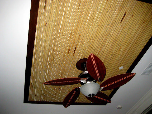 Bamboo Ceiling9