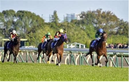 Tokyo: Just A Way impressionante nel Tenno Sho autunnale. Terzo Mirco Demuro su Eishin Flash, quinto Umberto Rispoli (che ha vinto sabato a Tokyo) su Codino