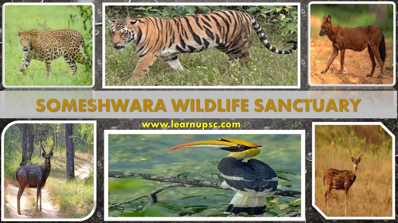 Someshwara Wildlife Sanctuary