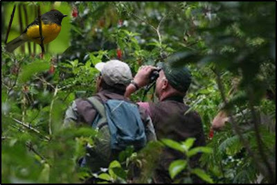 Birding Rally Challenge - Gran Perú Tours