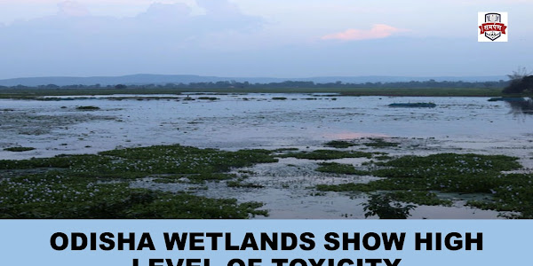 Higher Level of Toxic Heavy Metals in various Wetlands of Odisha