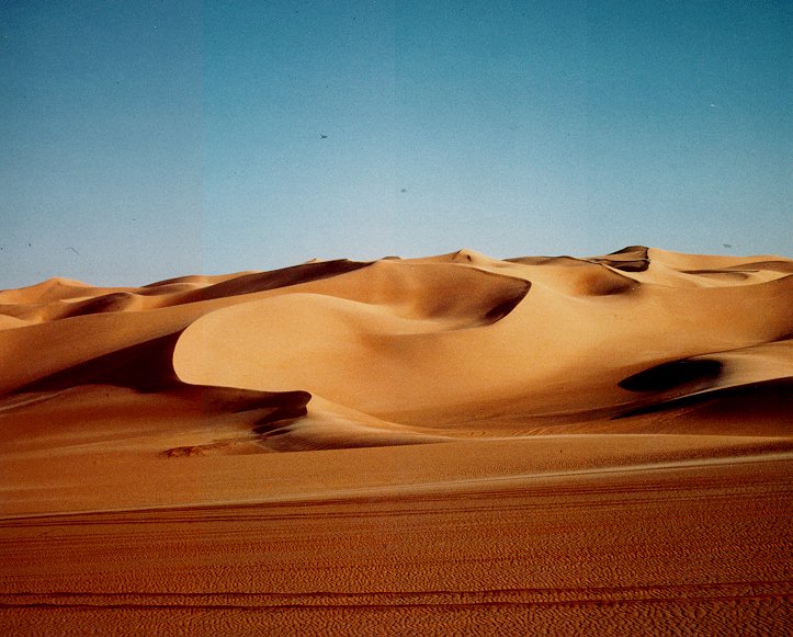 Labels Sahara Desert