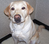 Picture of Erica sitting down in the tie-down area of the dorm room.