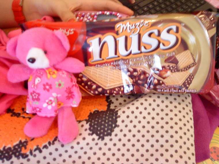 Pinky Teddy Bear