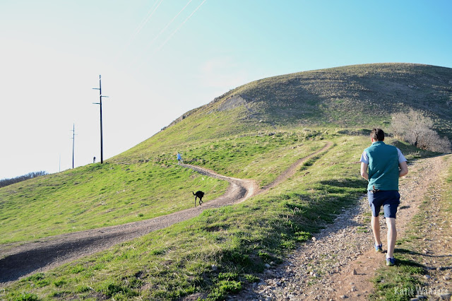 Bonneville Shoreline Trail over to the Red Butte Trails 