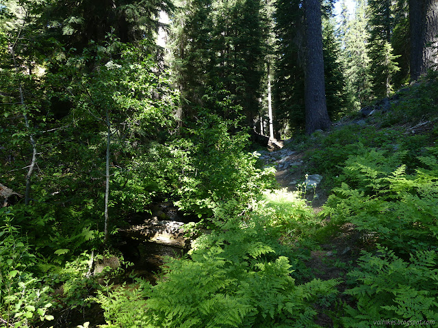 trail beside creek