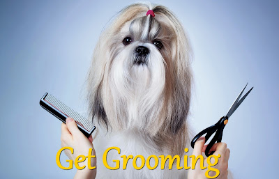 get grooming