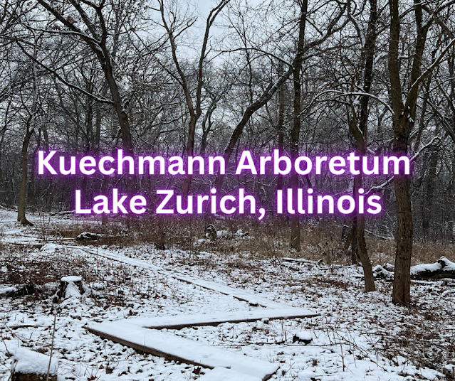 Winter Wonderland at Kuechmann Arboretum in Lake Zurich, Illinois