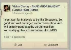 MCA Perlu Ajar Anak-Anak Cina Hormati Orang Melayu ! #1Malaysia 