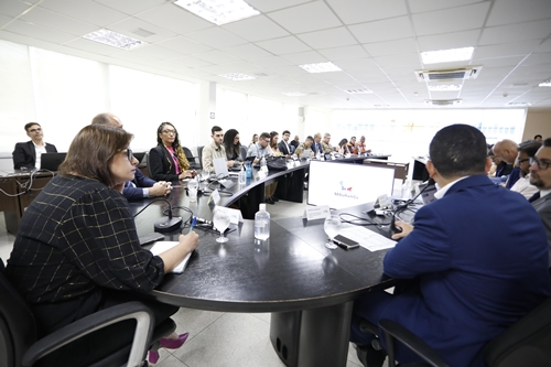 Governadora em Exercício