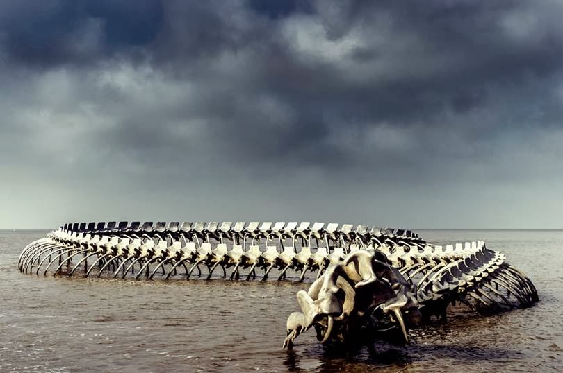 Serpent d’Océan | A Massive Metal Sea Serpent Skeleton on a Beach in France